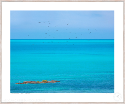 Caribbean Blue