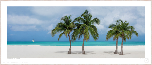 Caribbean dream